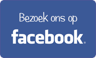 Burgmeijer facebook button